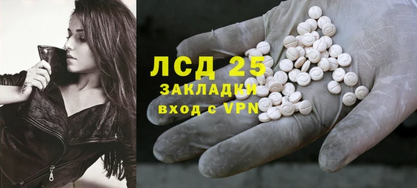 гидра Аркадак