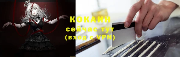 гидра Аркадак