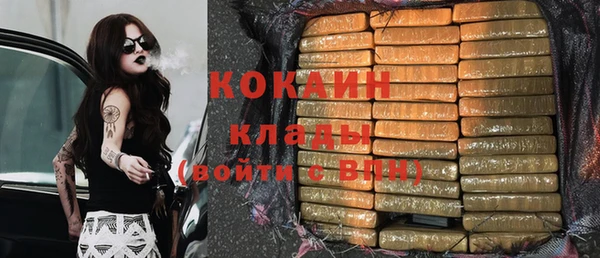 гидра Аркадак