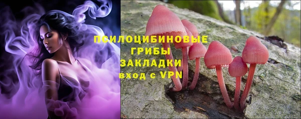 гидра Аркадак